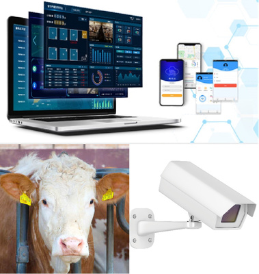 科技+金融賦能養(yǎng)殖農(nóng)戶 金惠家牧科開啟智慧養(yǎng)殖新時代